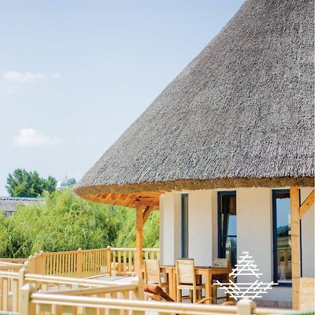 Pensiunea Nest Dunavăţu de Jos エクステリア 写真