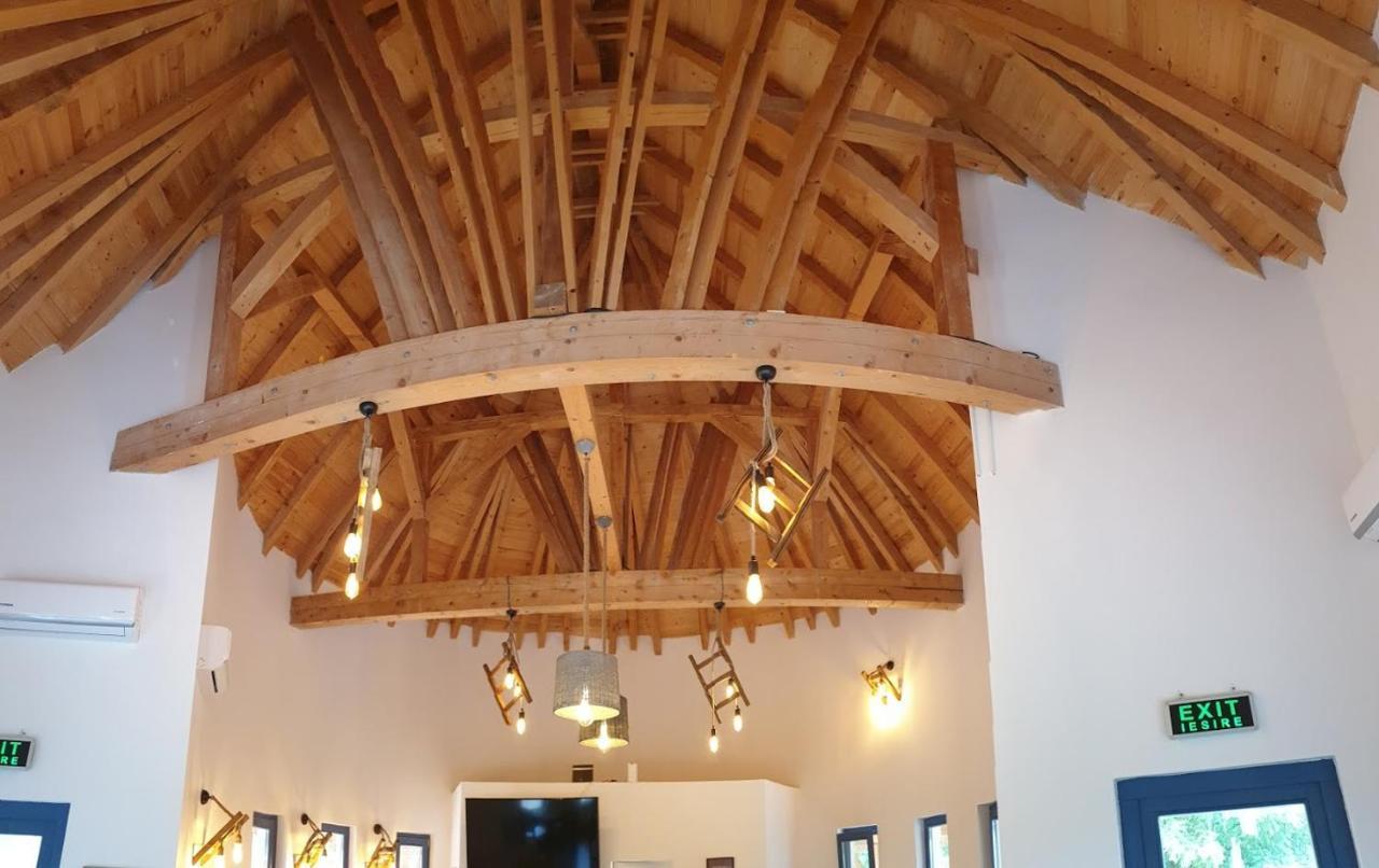 Pensiunea Nest Dunavăţu de Jos エクステリア 写真