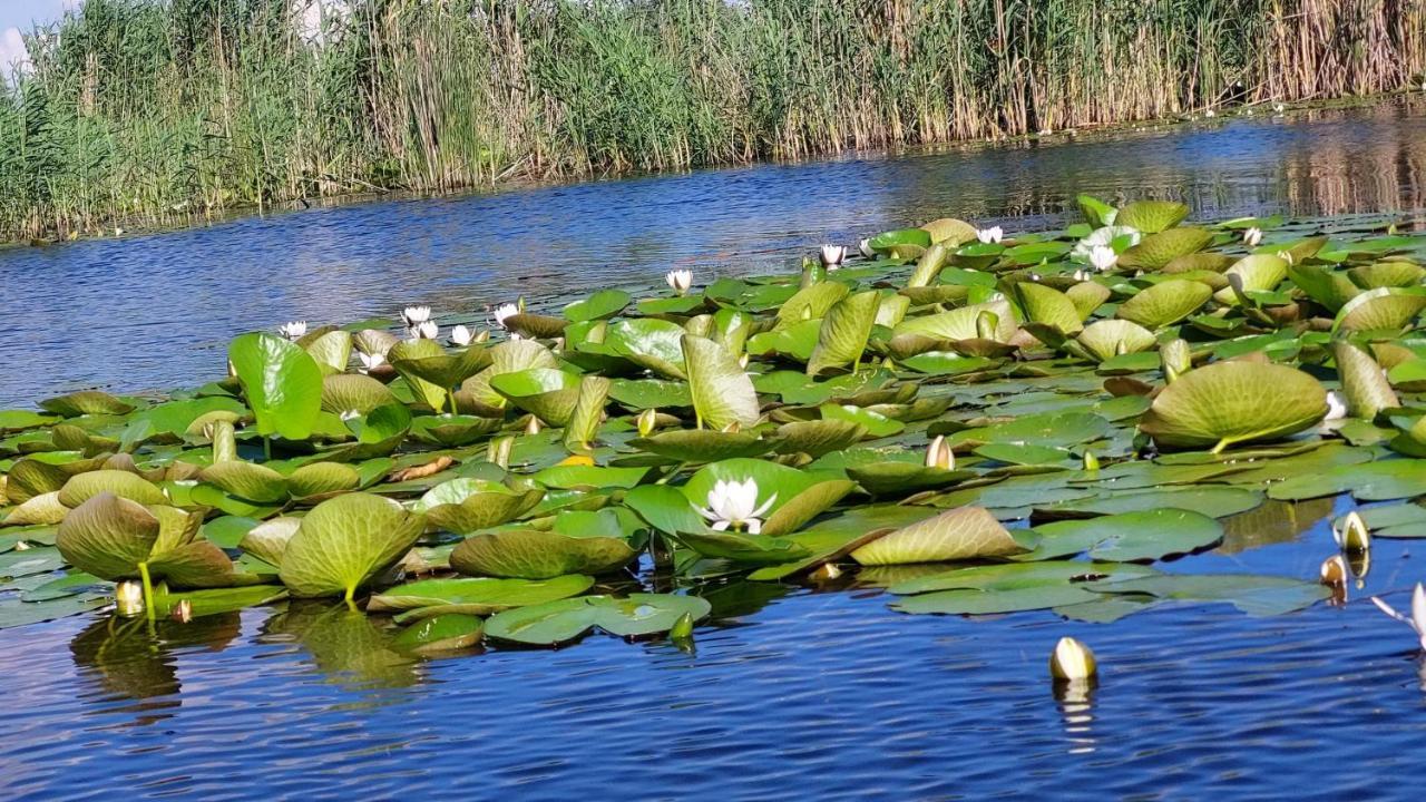 Pensiunea Nest Dunavăţu de Jos エクステリア 写真