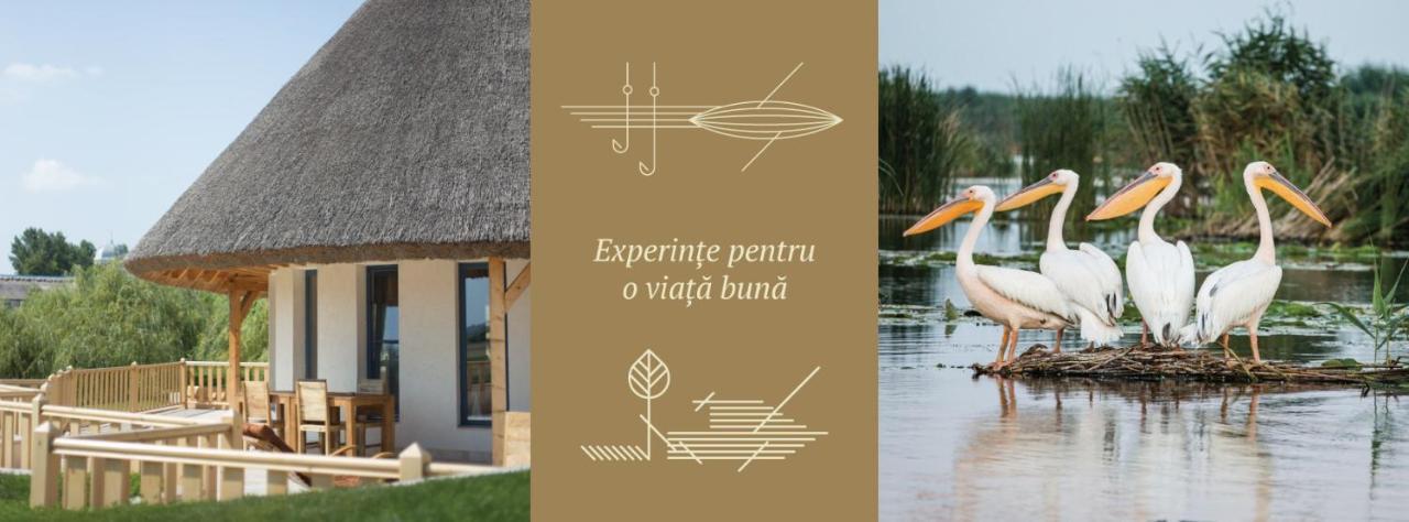 Pensiunea Nest Dunavăţu de Jos エクステリア 写真